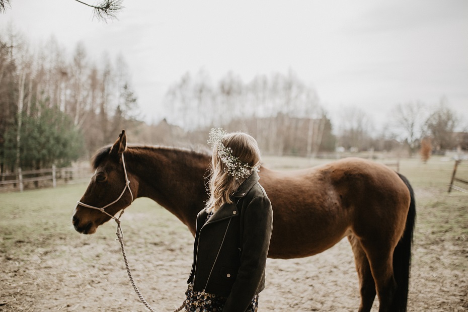 Sesja zdjęciowa z koniem